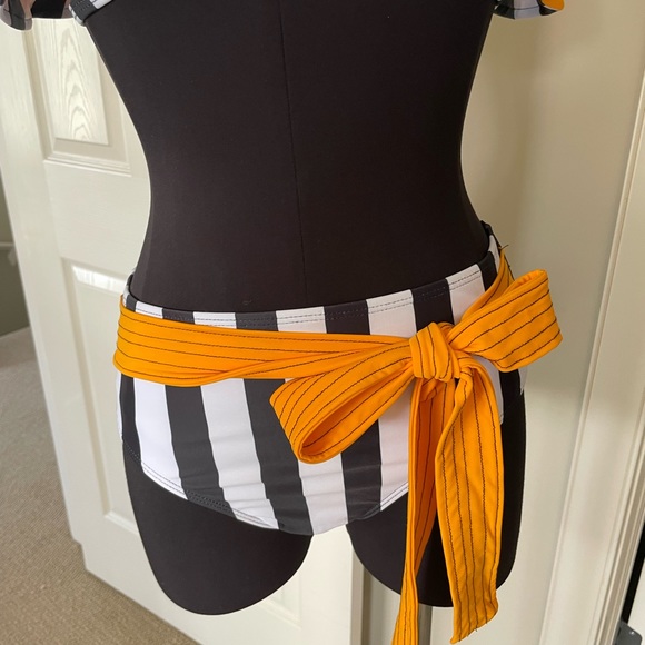 Stripped Bikini - Picture 4 of 6